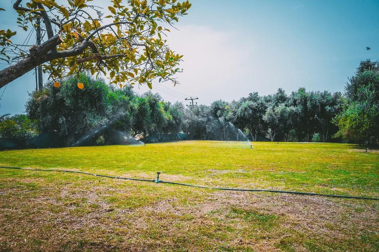 Ferienwohnung Chrysland Agia Napa 0*,  Zypern